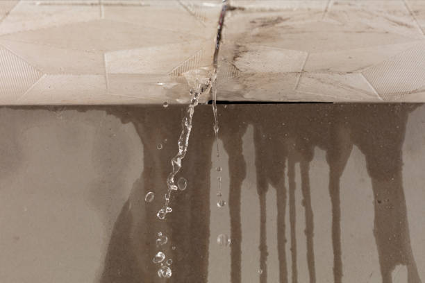 Professional Sewage Cleanup technician working in Stanwood, MI